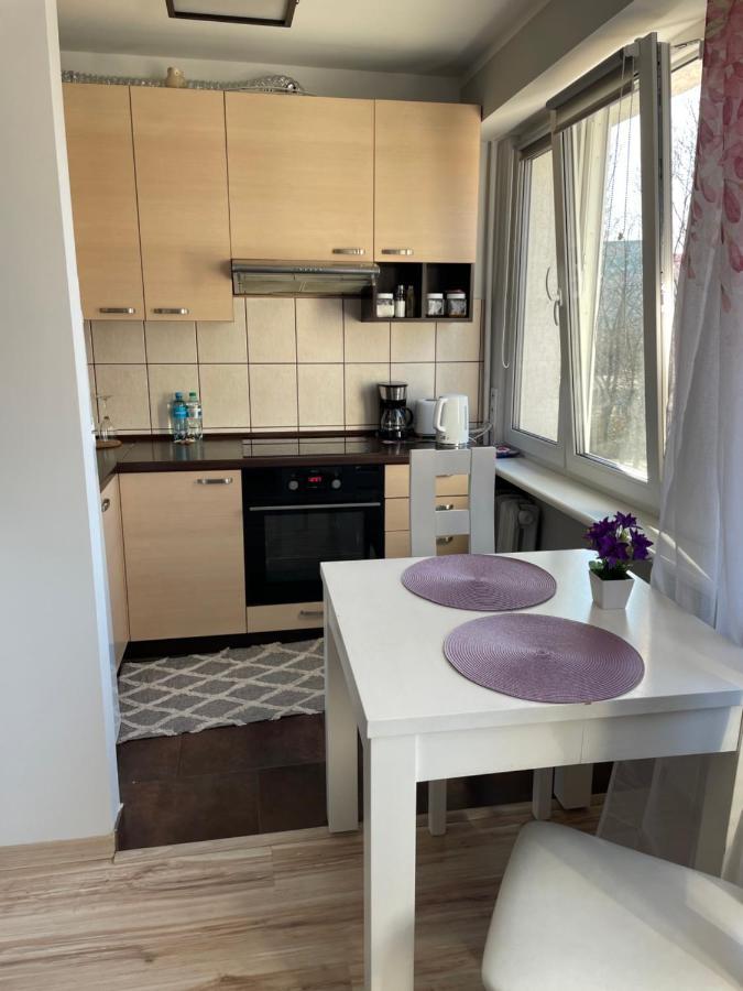 Pan Tadeusz Apartment *